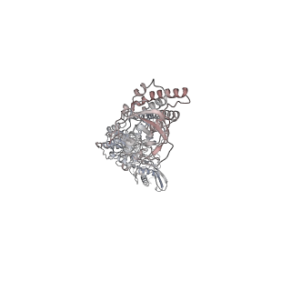 34001_7ypi_B_v1-1
Spiral hexamer of the substrate-free Lon protease with a Y224S mutation