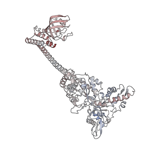 34001_7ypi_C_v1-1
Spiral hexamer of the substrate-free Lon protease with a Y224S mutation