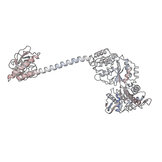 34001_7ypi_D_v1-1
Spiral hexamer of the substrate-free Lon protease with a Y224S mutation