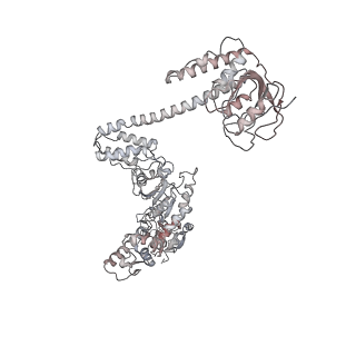 34001_7ypi_E_v1-1
Spiral hexamer of the substrate-free Lon protease with a Y224S mutation