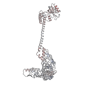 34001_7ypi_F_v1-1
Spiral hexamer of the substrate-free Lon protease with a Y224S mutation