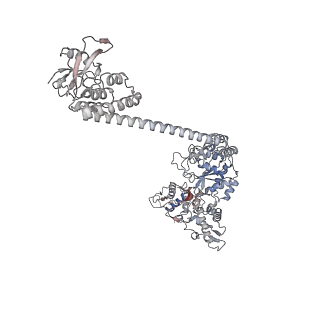 34002_7ypj_C_v1-1
Spiral pentamer of the substrate-free Lon protease with a S678A mutation