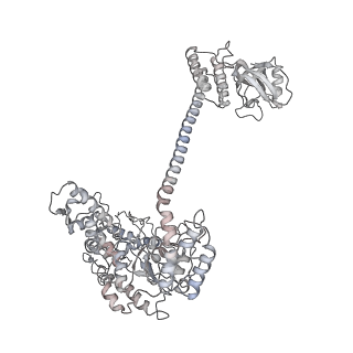 34002_7ypj_E_v1-1
Spiral pentamer of the substrate-free Lon protease with a S678A mutation