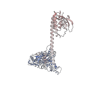 34003_7ypk_A_v1-1
Close-ring hexamer of the substrate-bound Lon protease with an S678A mutation