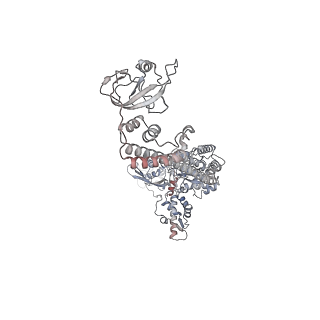 34003_7ypk_B_v1-1
Close-ring hexamer of the substrate-bound Lon protease with an S678A mutation