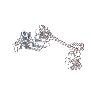 34003_7ypk_C_v1-1
Close-ring hexamer of the substrate-bound Lon protease with an S678A mutation