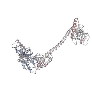 34003_7ypk_D_v1-1
Close-ring hexamer of the substrate-bound Lon protease with an S678A mutation