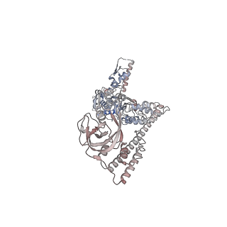 34003_7ypk_E_v1-1
Close-ring hexamer of the substrate-bound Lon protease with an S678A mutation
