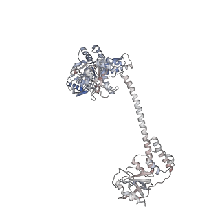 34003_7ypk_F_v1-1
Close-ring hexamer of the substrate-bound Lon protease with an S678A mutation