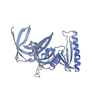 34010_7ypo_A_v1-0
Cryo-EM structure of baculovirus LEF-3 in complex with ssDNA
