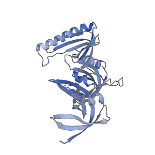 34010_7ypo_B_v1-0
Cryo-EM structure of baculovirus LEF-3 in complex with ssDNA