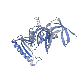 34010_7ypo_C_v1-0
Cryo-EM structure of baculovirus LEF-3 in complex with ssDNA
