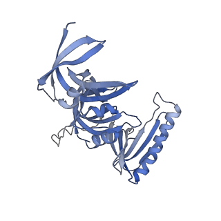 34010_7ypo_D_v1-0
Cryo-EM structure of baculovirus LEF-3 in complex with ssDNA
