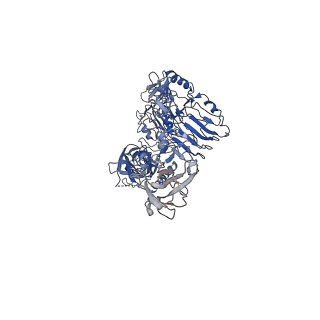34018_7yq3_F_v1-0
human insulin receptor bound with A43 DNA aptamer and insulin