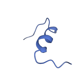 34019_7yq4_B_v1-0
human insulin receptor bound with A62 DNA aptamer and insulin - locally refined
