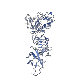 34019_7yq4_E_v1-0
human insulin receptor bound with A62 DNA aptamer and insulin - locally refined