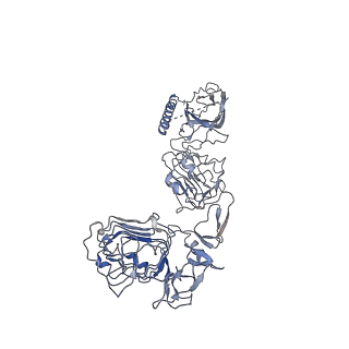34019_7yq4_F_v1-0
human insulin receptor bound with A62 DNA aptamer and insulin - locally refined