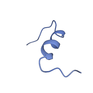34020_7yq5_B_v1-0
human insulin receptor bound with A62 DNA aptamer and insulin