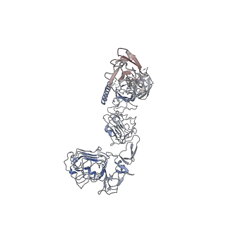 34020_7yq5_F_v1-0
human insulin receptor bound with A62 DNA aptamer and insulin