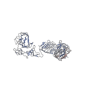 34021_7yq6_E_v1-0
human insulin receptor bound with A62 DNA aptamer