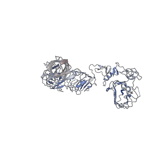 34021_7yq6_F_v1-0
human insulin receptor bound with A62 DNA aptamer