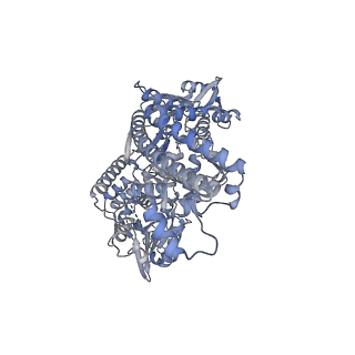 34022_7yq8_A_v1-0
Cryo-EM structure of human topoisomerase II beta in complex with DNA and etoposide