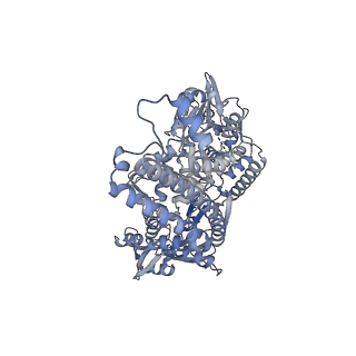 34022_7yq8_B_v1-0
Cryo-EM structure of human topoisomerase II beta in complex with DNA and etoposide