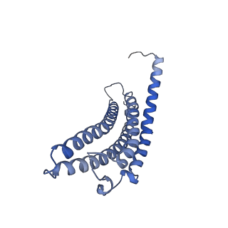 34023_7yqc_C_v1-0
EM structure of human PA28gamma
