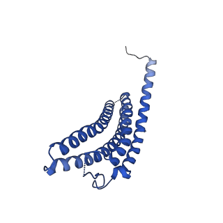 34024_7yqd_C_v1-0
EM structure of human PA28gamma (wild-type)