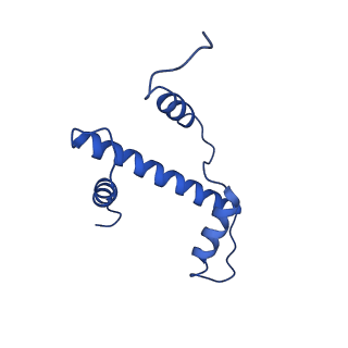 34028_7yqk_A_v1-1
cryo-EM structure of gammaH2AXK15ub-H4K20me2 nucleosome bound to 53BP1