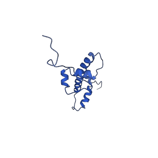 34028_7yqk_G_v1-1
cryo-EM structure of gammaH2AXK15ub-H4K20me2 nucleosome bound to 53BP1