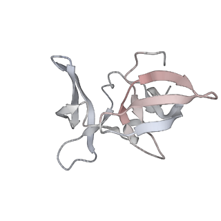 34028_7yqk_N_v1-1
cryo-EM structure of gammaH2AXK15ub-H4K20me2 nucleosome bound to 53BP1