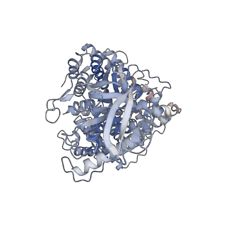 34029_7yqm_A_v1-2
2.9-angstrom cryo-EM structure of Ecoli malate synthase G