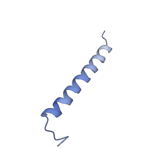 6828_5yq7_5_v1-0
Cryo-EM structure of the RC-LH core complex from Roseiflexus castenholzii
