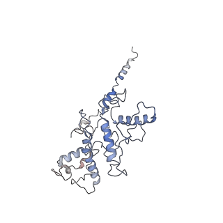 6828_5yq7_C_v1-0
Cryo-EM structure of the RC-LH core complex from Roseiflexus castenholzii