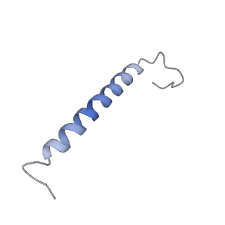 6828_5yq7_I_v1-0
Cryo-EM structure of the RC-LH core complex from Roseiflexus castenholzii