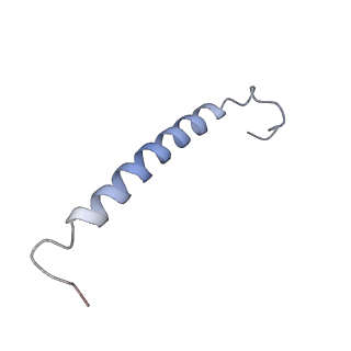 6828_5yq7_K_v1-0
Cryo-EM structure of the RC-LH core complex from Roseiflexus castenholzii