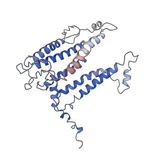 6828_5yq7_L_v1-0
Cryo-EM structure of the RC-LH core complex from Roseiflexus castenholzii