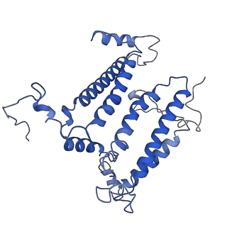 6828_5yq7_M_v1-0
Cryo-EM structure of the RC-LH core complex from Roseiflexus castenholzii