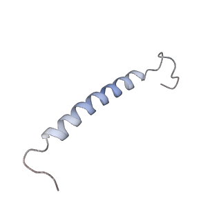6828_5yq7_O_v1-0
Cryo-EM structure of the RC-LH core complex from Roseiflexus castenholzii