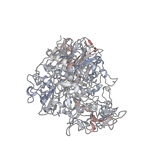 10890_6yrk_B_v1-0
P140-P110 complex fitted into the cryo-electron density map of the heterodimer