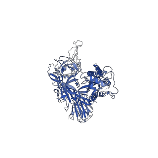 34042_7yr1_A_v1-2
SARS-CoV-2 BA.2.75 S Trimer in complex with XG2v024