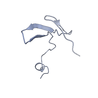 34047_7yr6_B_v1-0
Cryo-EM structure of Pseudomonas aeruginosa RsmZ RNA in complex with two RsmA protein dimers