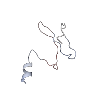 34047_7yr6_E_v1-0
Cryo-EM structure of Pseudomonas aeruginosa RsmZ RNA in complex with two RsmA protein dimers