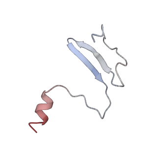 34048_7yr7_B_v1-0
Cryo-EM structure of Pseudomonas aeruginosa RsmZ RNA in complex with three RsmA protein dimers