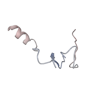 34048_7yr7_C_v1-0
Cryo-EM structure of Pseudomonas aeruginosa RsmZ RNA in complex with three RsmA protein dimers