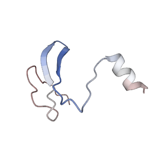 34048_7yr7_D_v1-0
Cryo-EM structure of Pseudomonas aeruginosa RsmZ RNA in complex with three RsmA protein dimers