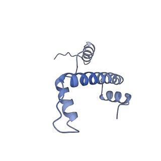 34053_7yrd_A_v1-1
histone methyltransferase