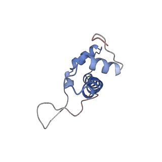 34053_7yrd_B_v1-1
histone methyltransferase