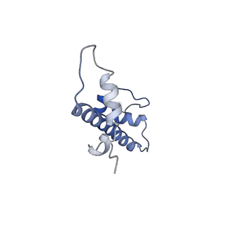 34053_7yrd_C_v1-1
histone methyltransferase